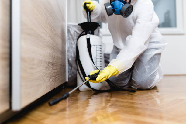 Reliable Bennet, NE Pest Control Solutions