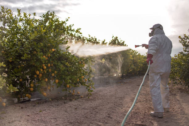 Best Pest Control Near Me  in Bent, NE