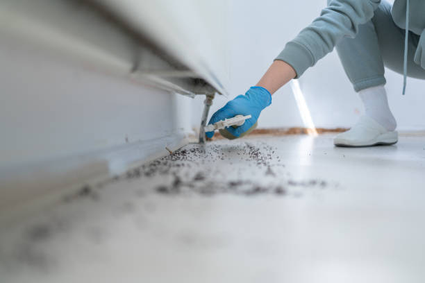 Best Best Pest Control Companies  in Bent, NE